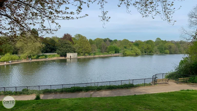 Mote Park cover image 2 768x432